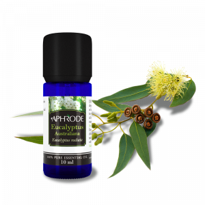 Eucalyptus essneial oil