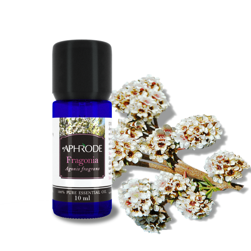 Fragonia essential oil